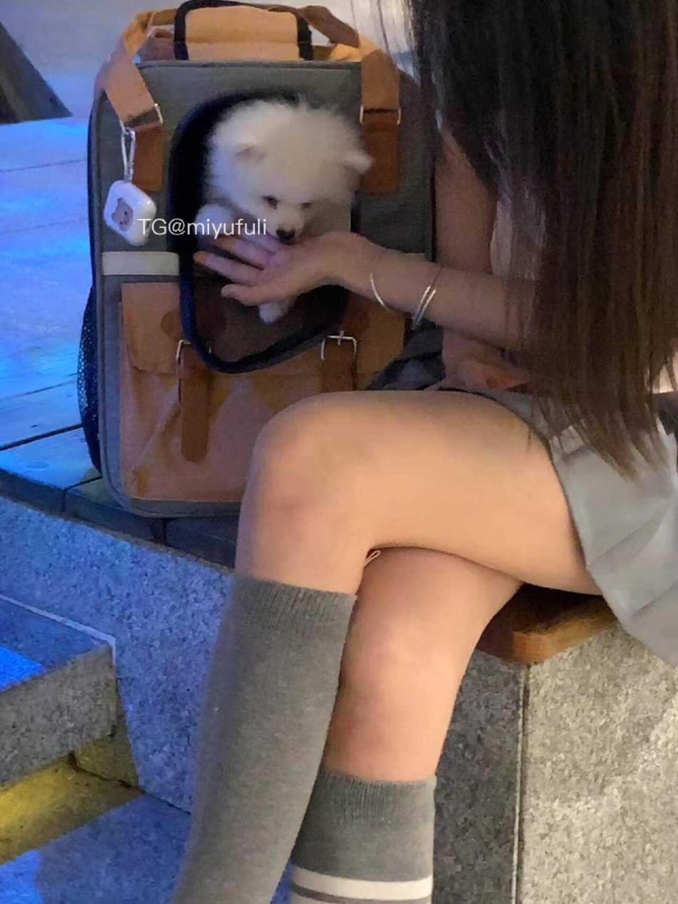 皮卡邱 2025-05-29 14:43:38 修勾~ 第6张