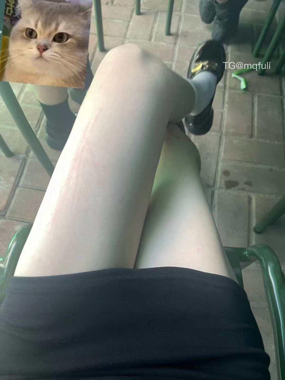 雪顶 2025-05-29 19:15:41 随机掉落一帧 第3张