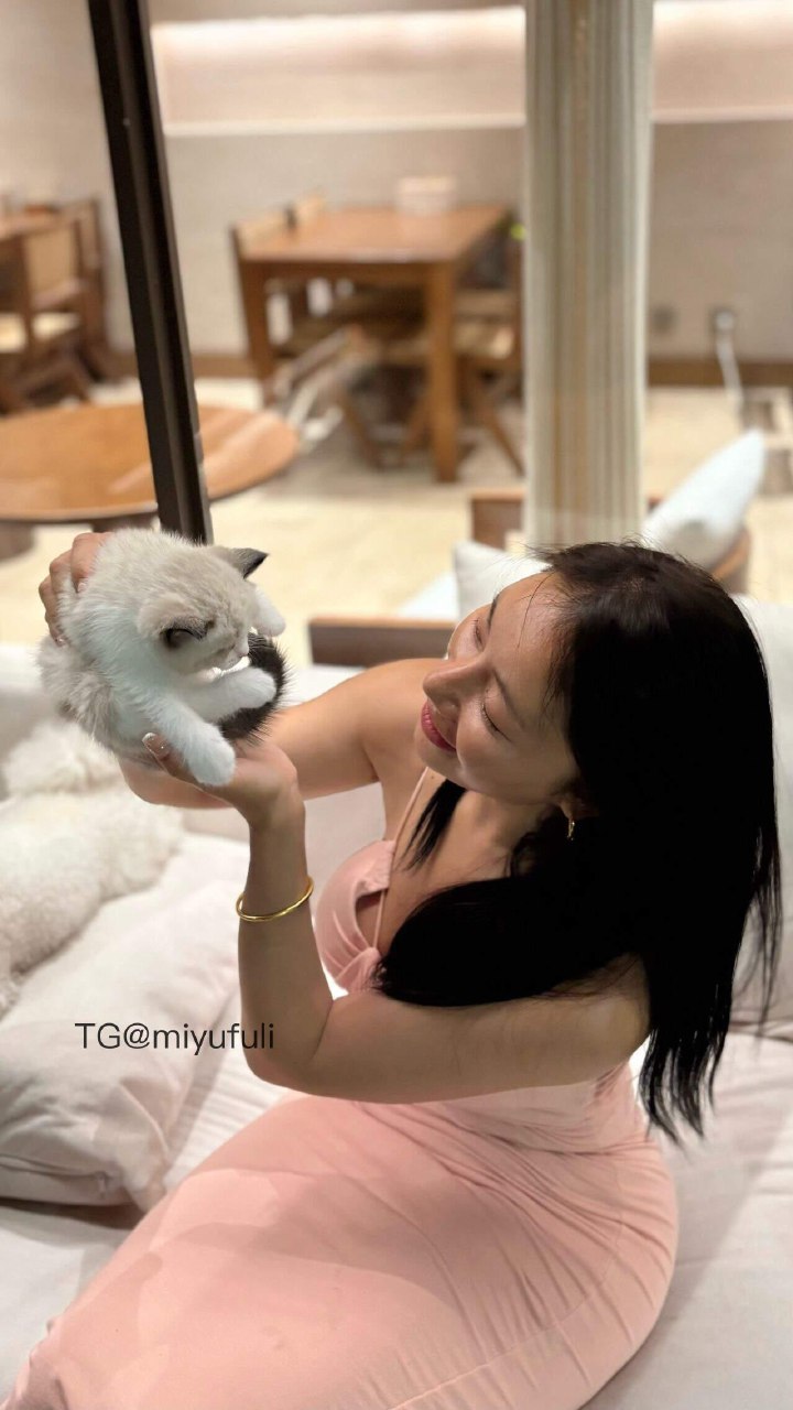 鹿瑶 2025-05-23 14:35:16 做我的猫 第4张