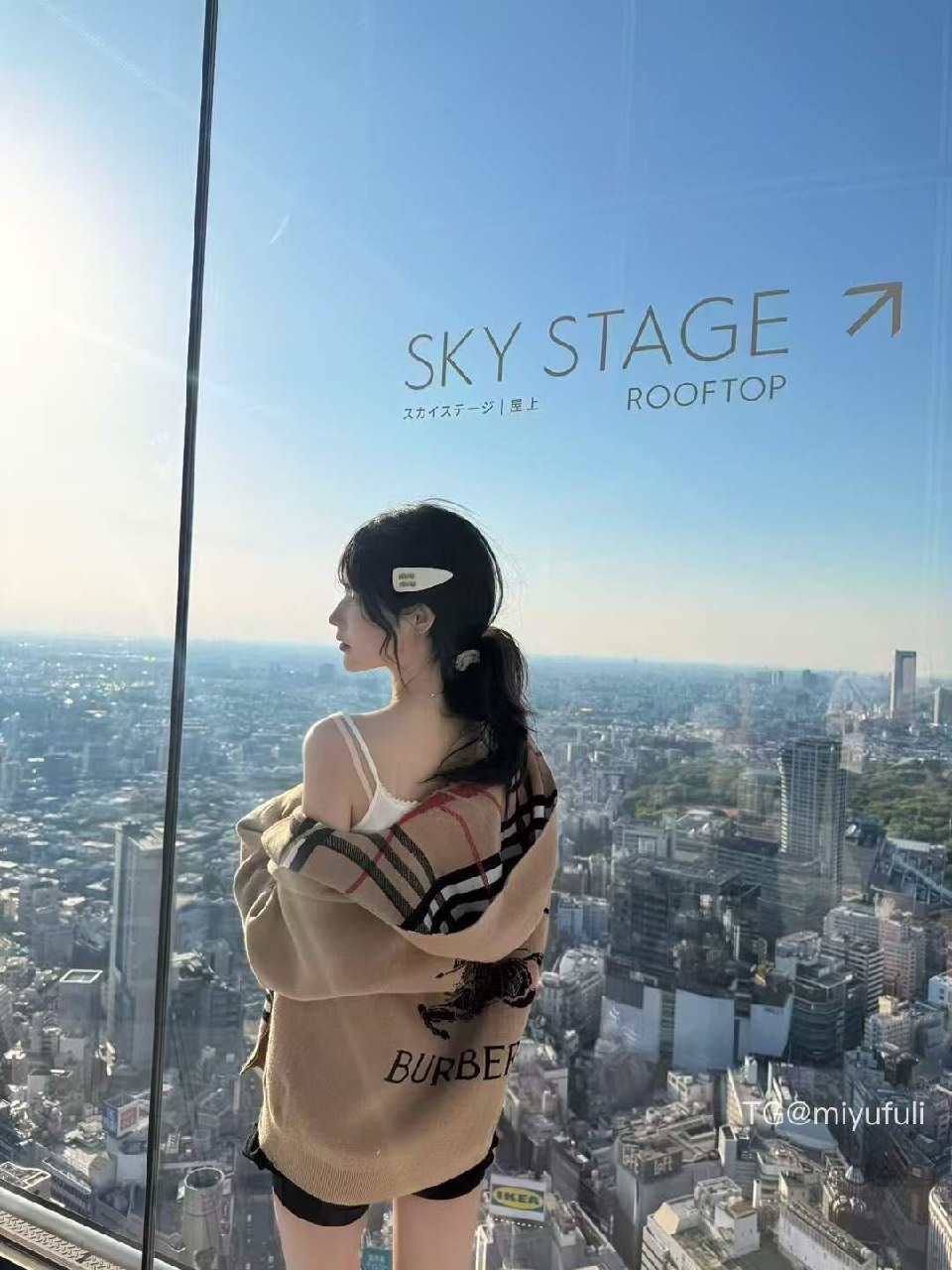 一只香 2025-05-30 01:29:48 我记得阳光明媚 第9张