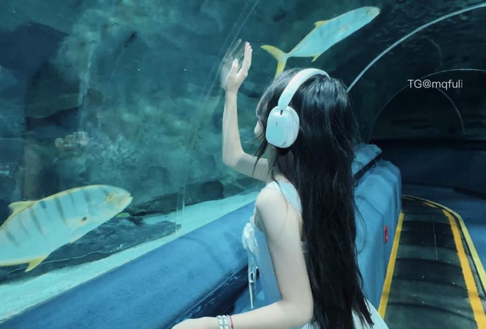 伊南Alicia 2025-06-09 17:54:56 约定 第2张