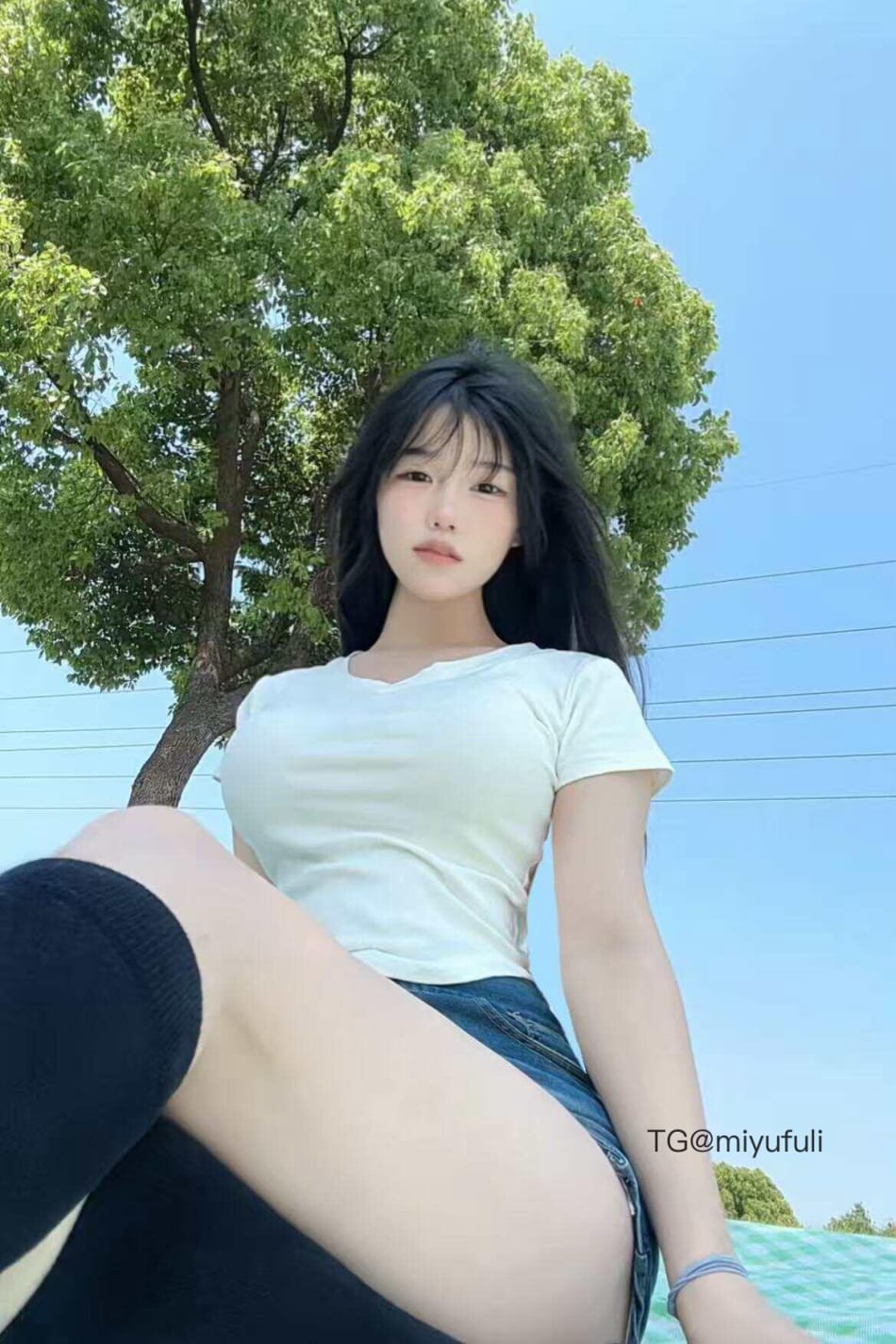 金铁兽 2025-06-09 16:05:48 除你之外，万物都没有引力 第3张