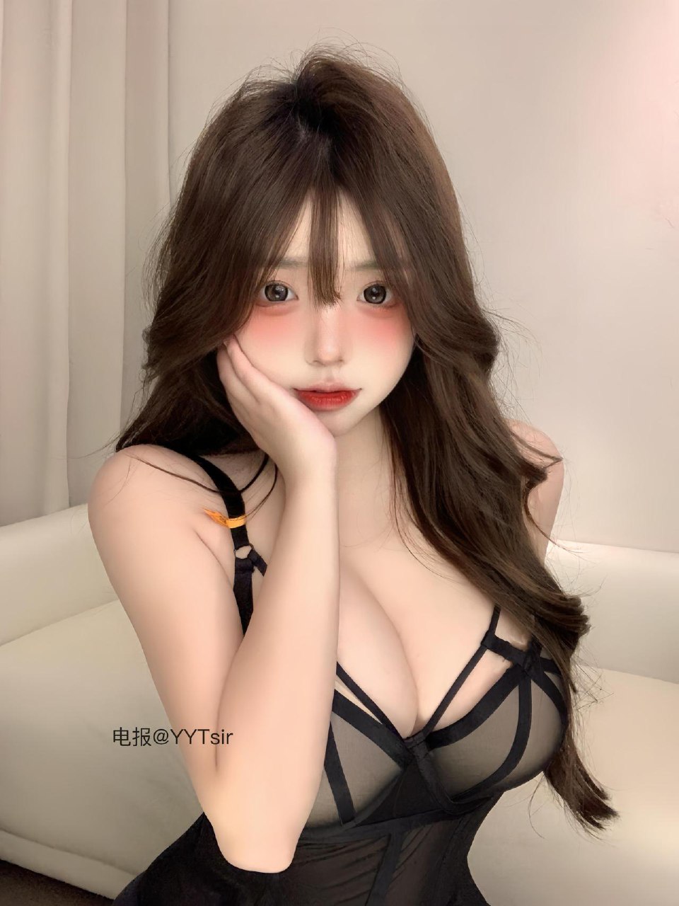 小猫困困 2025-06-21 16:27:45 困困欢迎所有新进岛的宝宝！