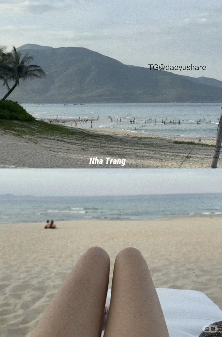 mini momo 2025-07-14 23:16:47 DAILY👀来当岛民了