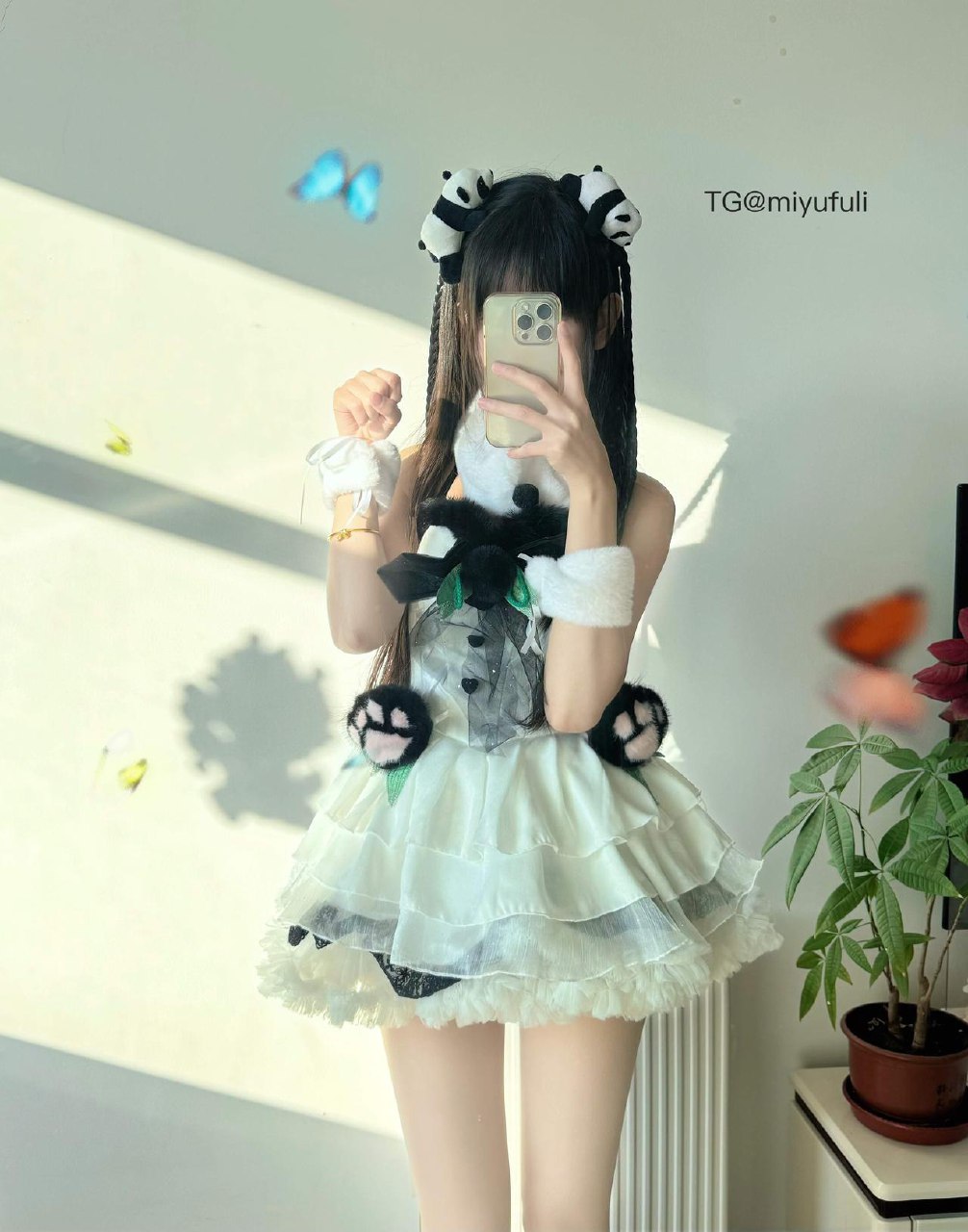 锦鲤 2025-08-08 16:41:29 小熊猫出没 第1张