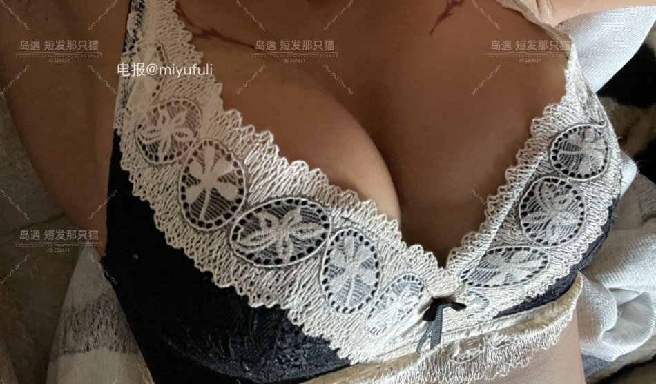 短发那只猫 2025-09-28 15:28:30 这个视角能拿捏🤏住你吗