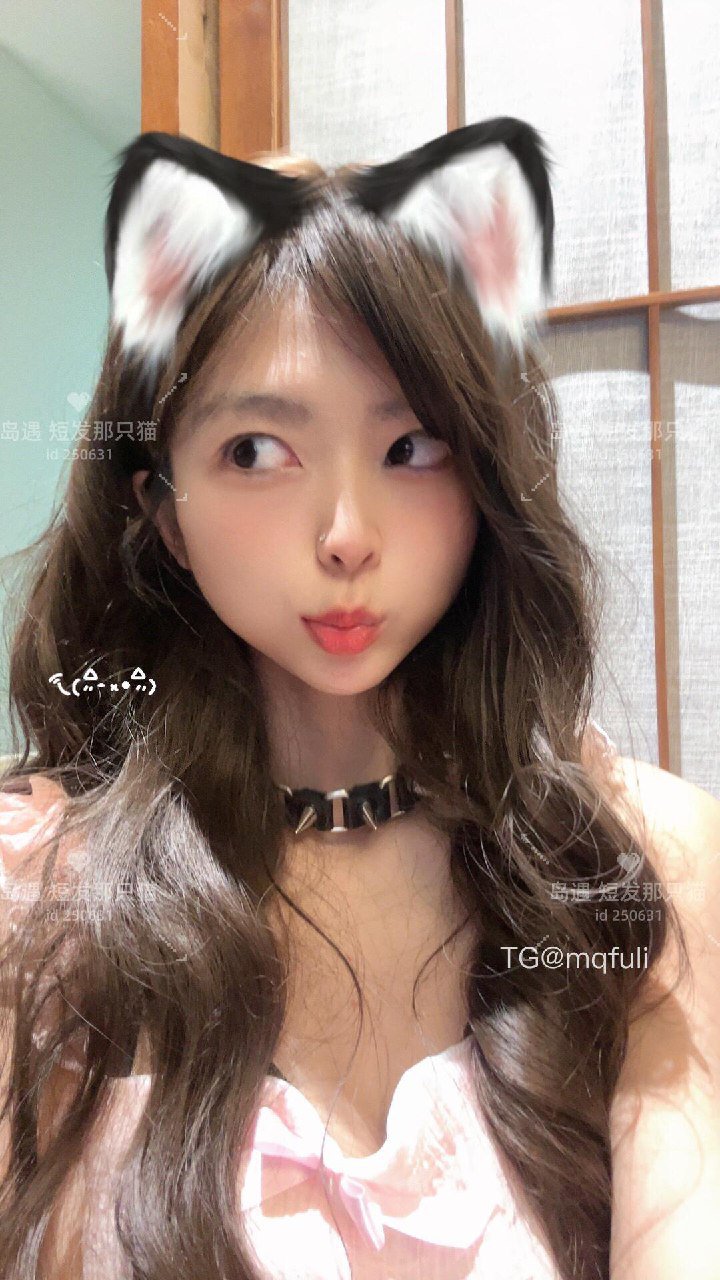 短发那只猫 2025-10-14 23:40:34 本喵可爱11连击 有没有甜到你的心 第5张