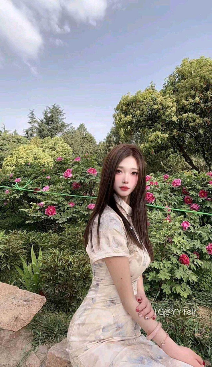 苏甜甜 2025-11-04 11:39:08 浪漫樱花 第3张