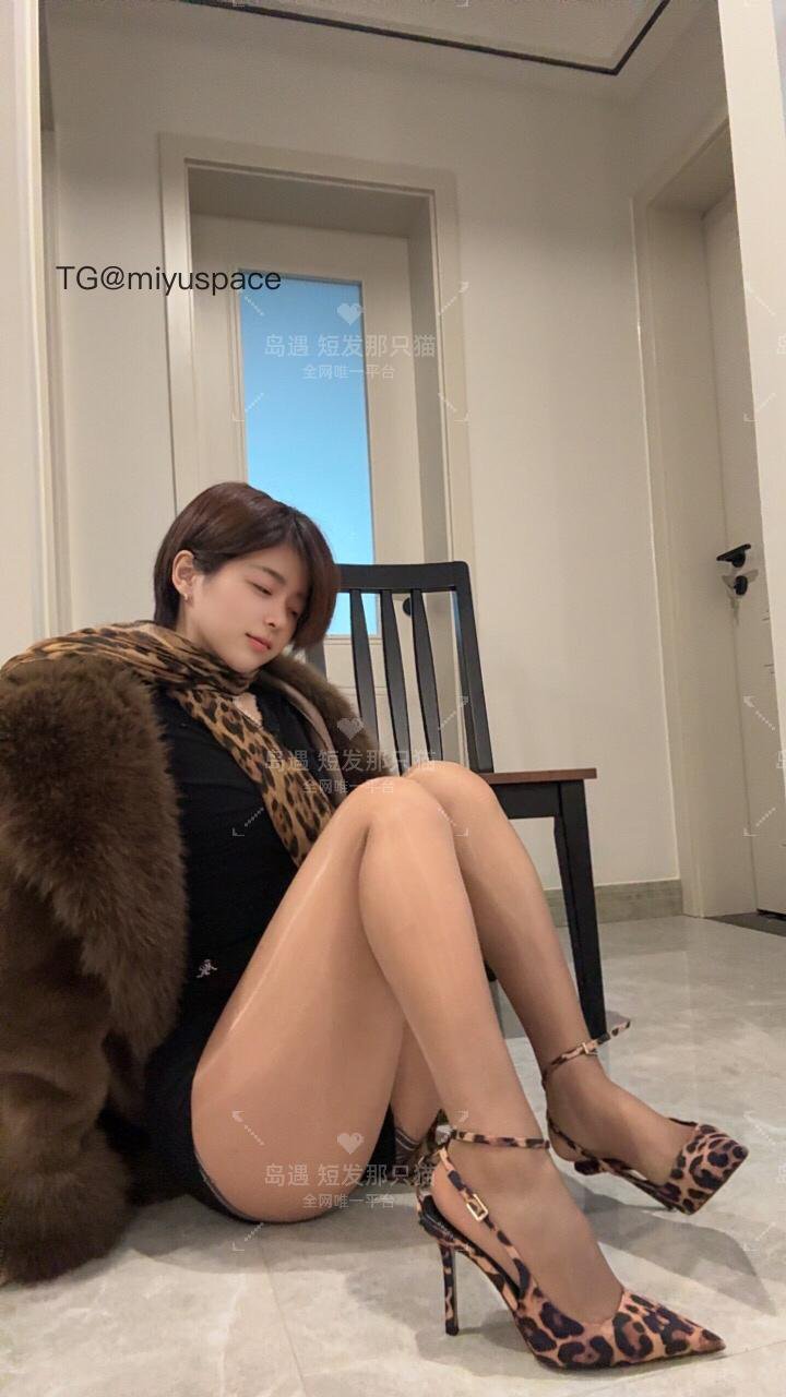 短发那只猫 2025-11-04 11:36:45 你愿意和小猫贴贴吗？ 第7张