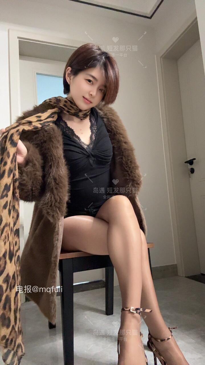 短发那只猫 2025-11-04 11:36:45 你愿意和小猫贴贴吗？ 第3张