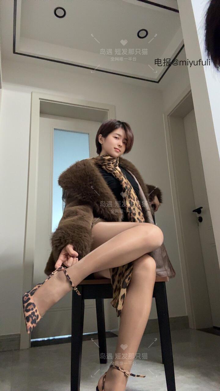 短发那只猫 2025-11-04 11:36:45 你愿意和小猫贴贴吗？ 第2张