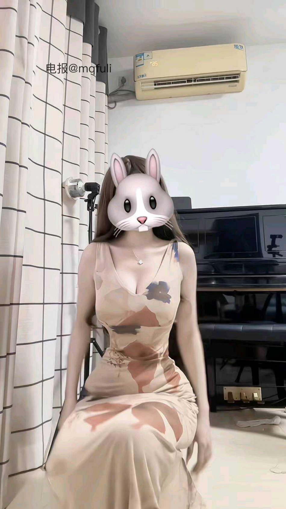 花枝蛇 2025-11-06 12:46:15 照片 第2张