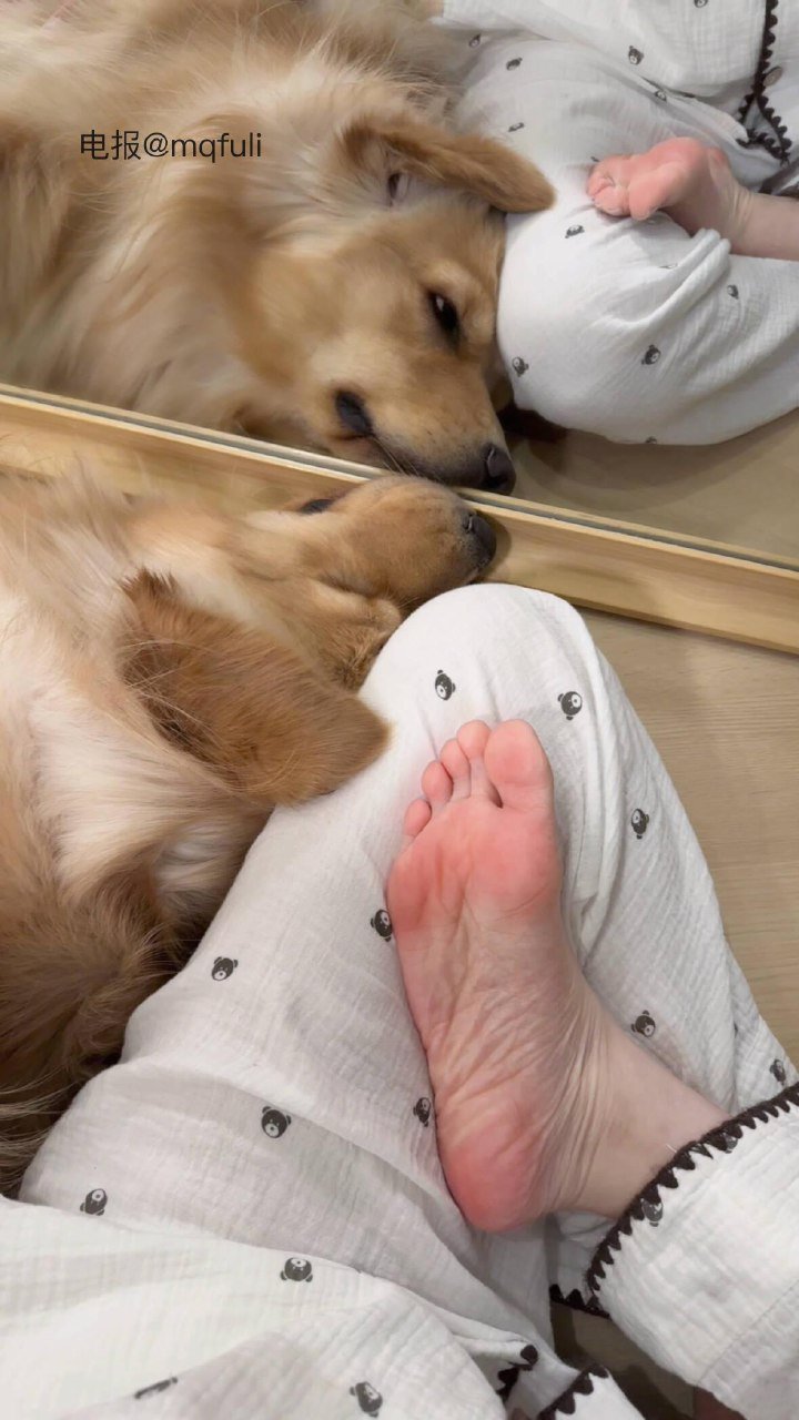 羊小羊 2025-11-19 14:28:42 帮我研究一下今晚吃什么