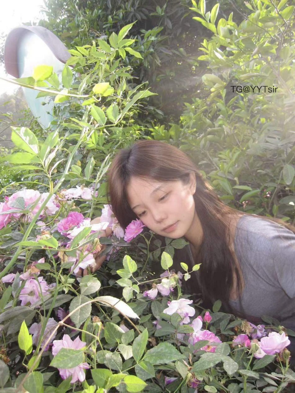 藤藤菜 2025-11-19 16:18:03 爱是自由意志的沉沦 第4张