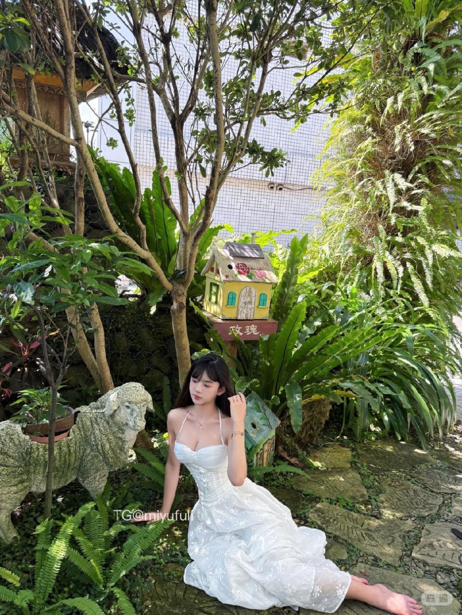 小岛日记 2025-11-19 11:15:39 我一定会得到我想要的 包括你宝宝