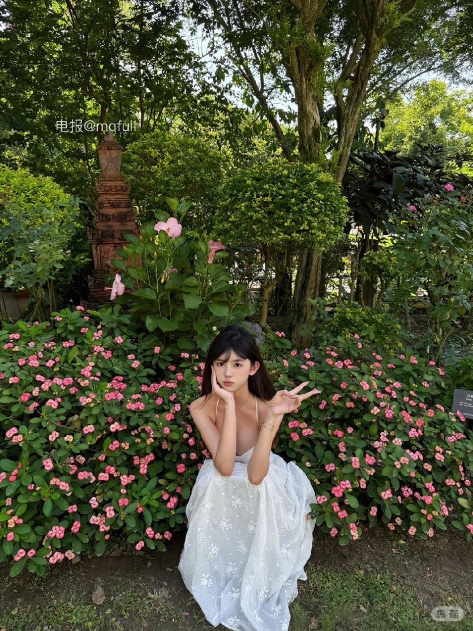 小岛日记 2025-11-19 11:15:39 我一定会得到我想要的 包括你宝宝