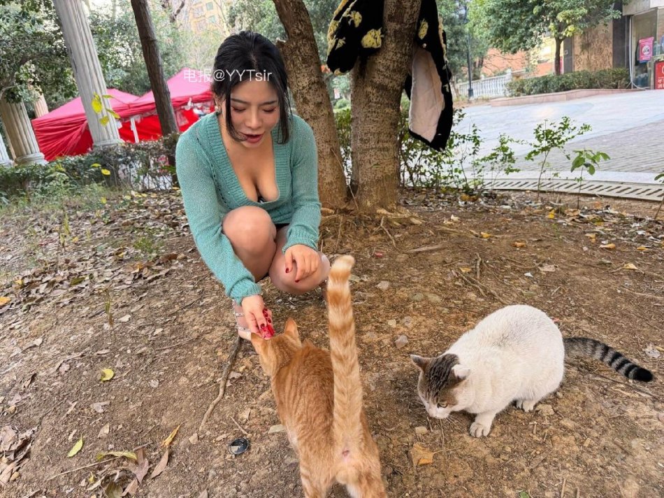 芳姨 2025-12-15 11:48:11 想做我的猫吗 喂你吃饭😌