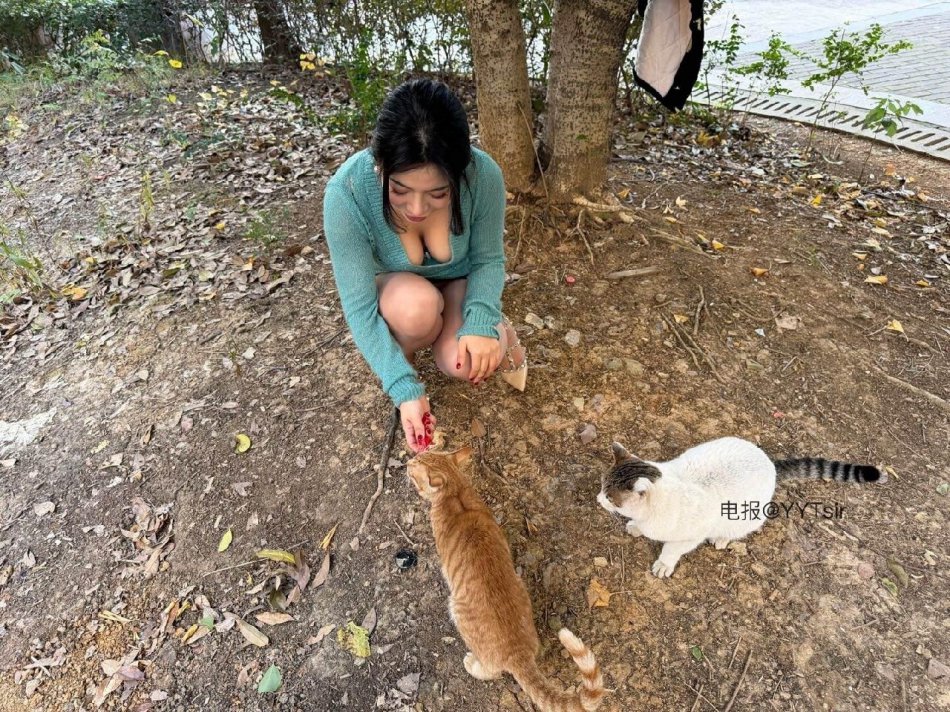 芳姨 2025-12-15 11:48:11 想做我的猫吗 喂你吃饭😌