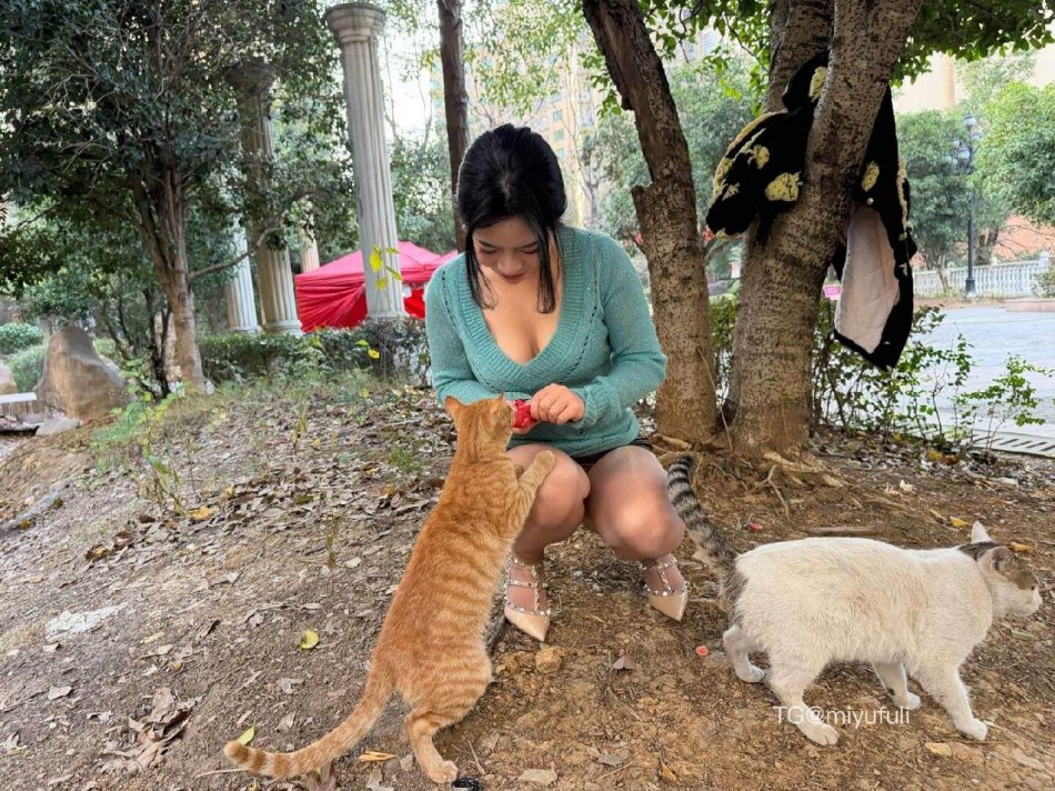 芳姨 2025-12-15 11:48:11 想做我的猫吗 喂你吃饭😌