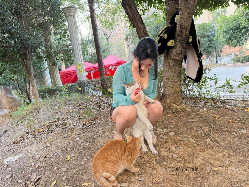 芳姨 2025-12-15 11:48:11 想做我的猫吗 喂你吃饭😌