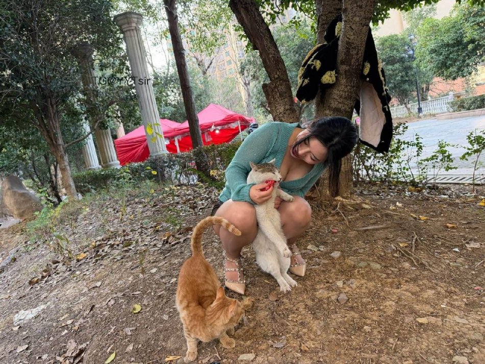 芳姨 2025-12-15 11:48:11 想做我的猫吗 喂你吃饭😌