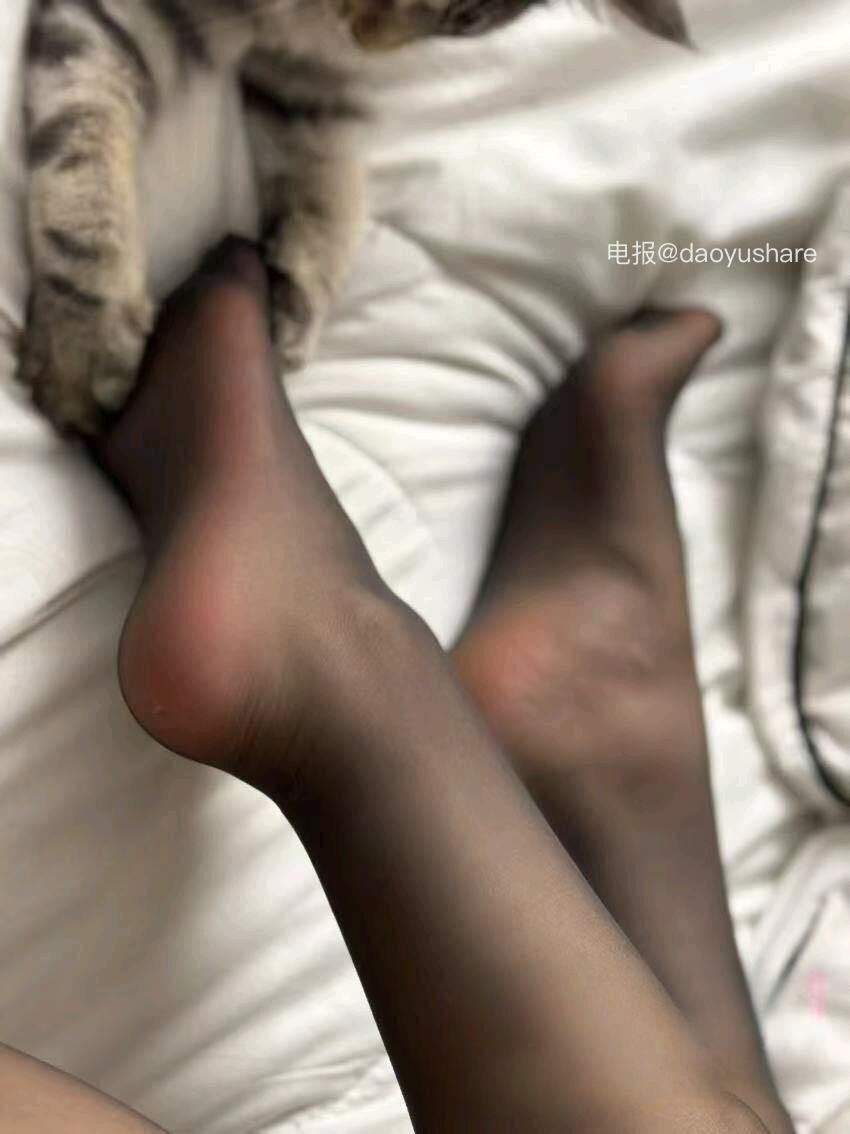 猫猫 2025-12-16 08:48:29 香香