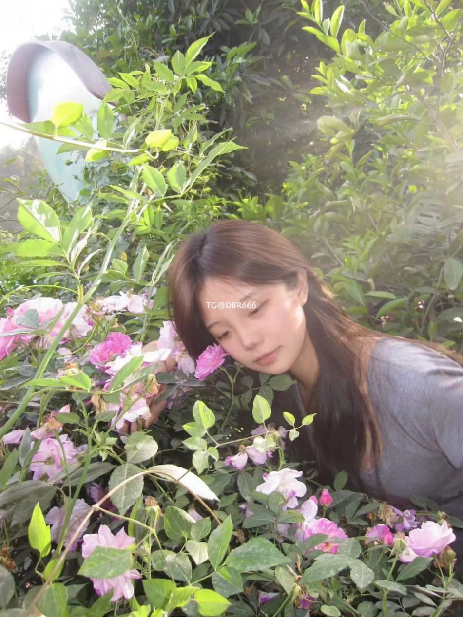 藤藤菜 2025-12-18 11:51:04 照片