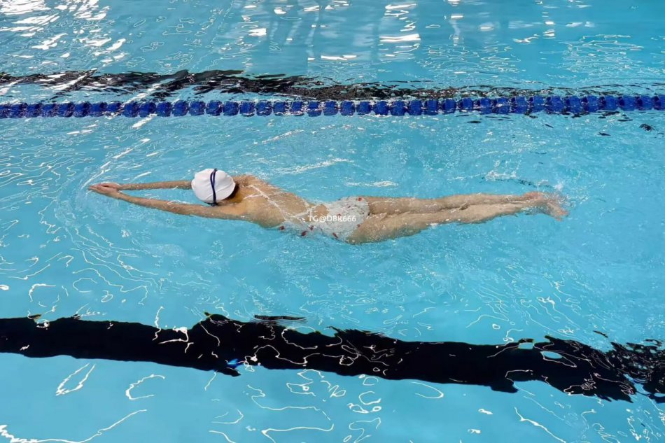 藤藤菜 2025-12-18 11:55:25 照片