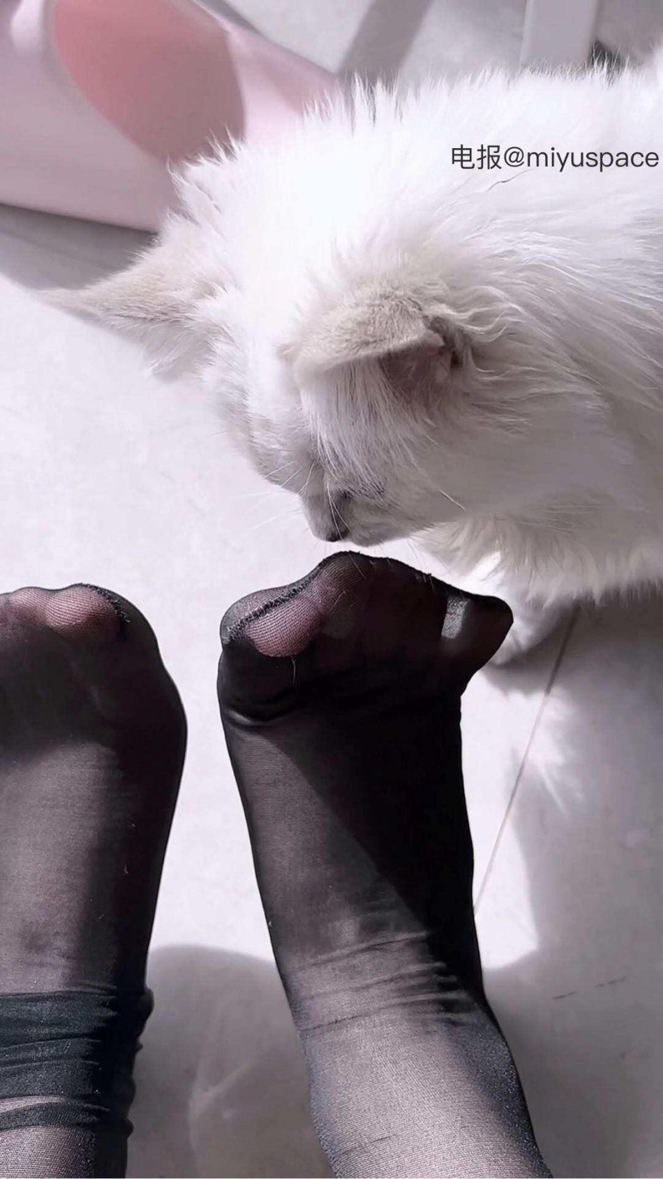 小琴酱 2025-12-26 18:17:11 呜呜 第4张