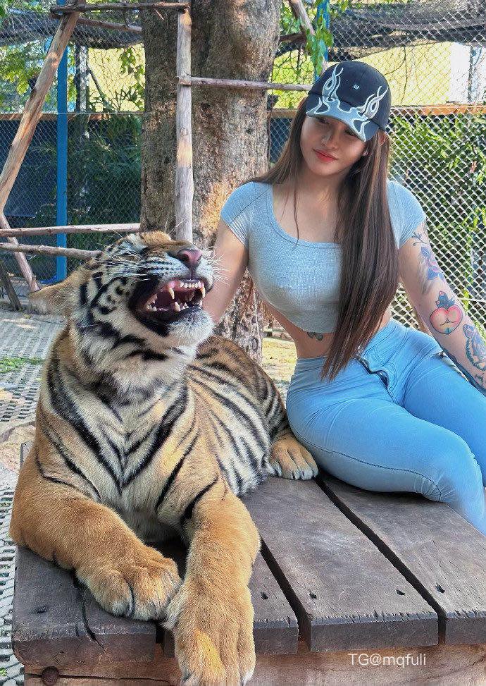 syx_hitomi 2026-01-19 16:35:30 老虎也是猫 是猫就得给我撸 第2张