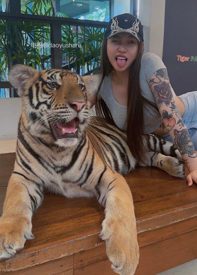 syx_hitomi 2026-01-19 16:35:30 老虎也是猫 是猫就得给我撸 第3张