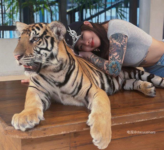 syx_hitomi 2026-01-19 16:35:30 老虎也是猫 是猫就得给我撸 第4张