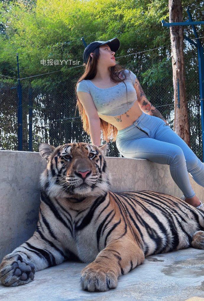 syx_hitomi 2026-01-19 16:35:30 老虎也是猫 是猫就得给我撸 第8张