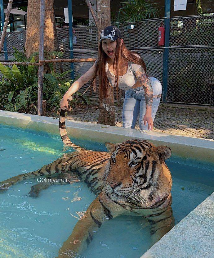 syx_hitomi 2026-01-19 16:35:30 老虎也是猫 是猫就得给我撸 第6张