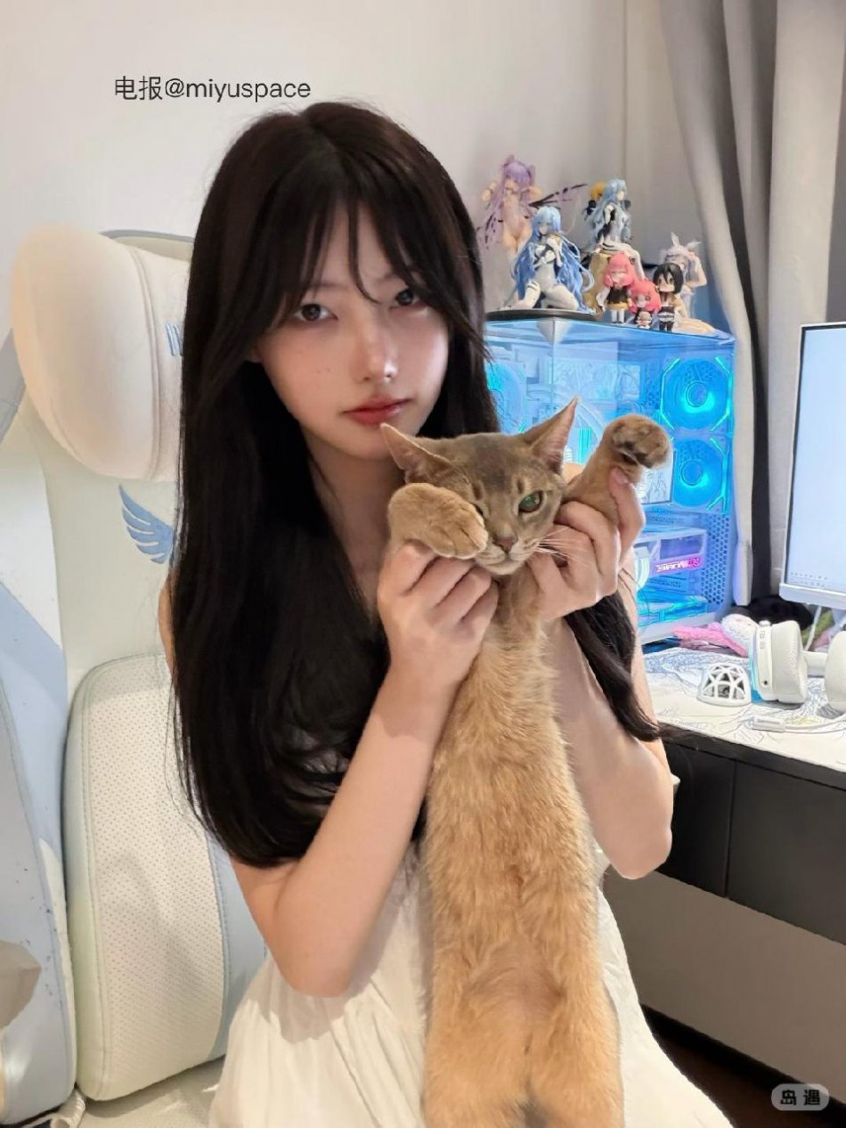 一只香 2026-02-08 10:35:22 照片 第2张