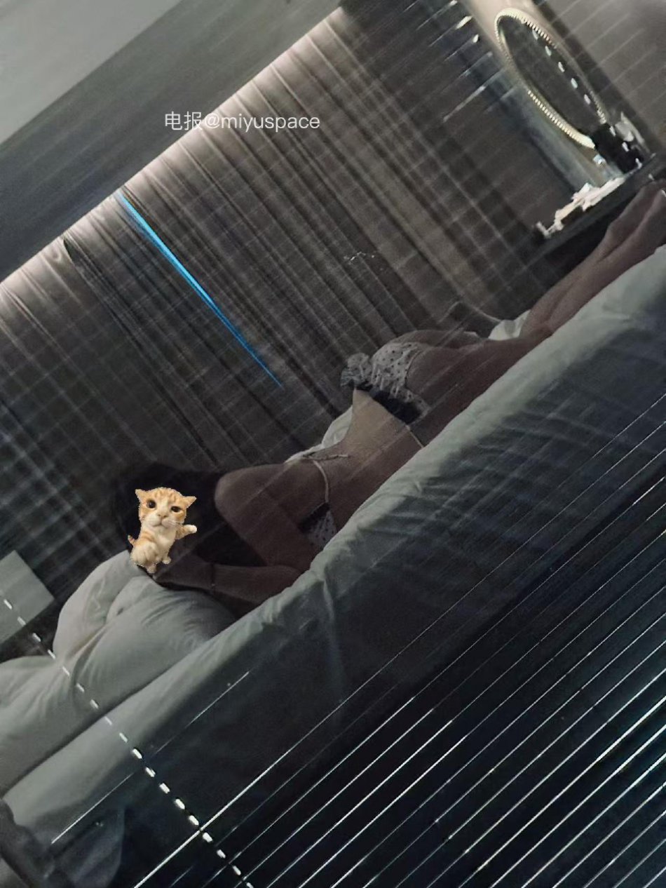 小汉堡 2026-02-07 09:44:54 好困呀 第6张