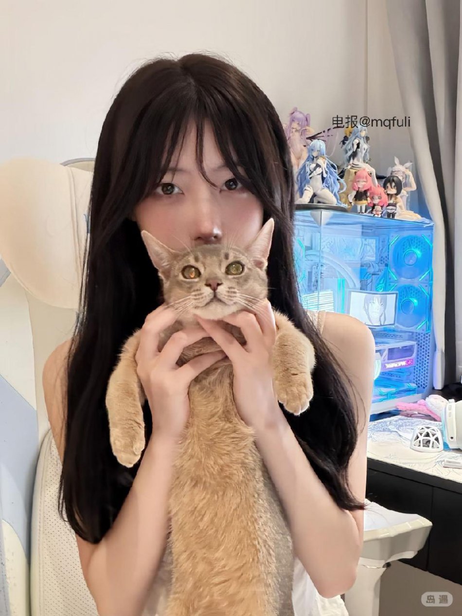 一只香 2026-02-13 09:40:24 照片 第1张