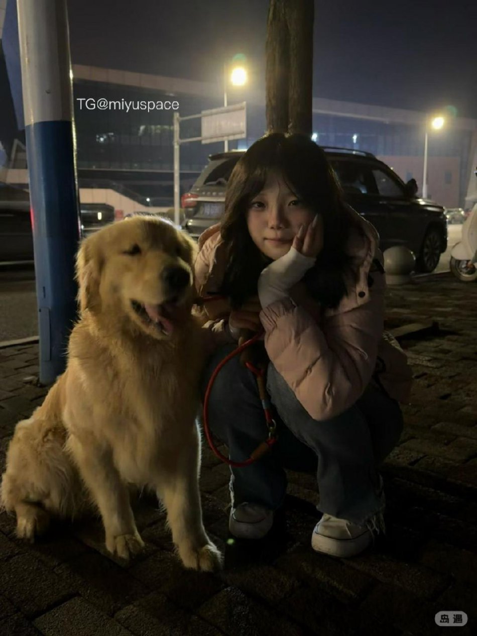 藤藤菜 2026-02-24 16:29:31 深夜的约定