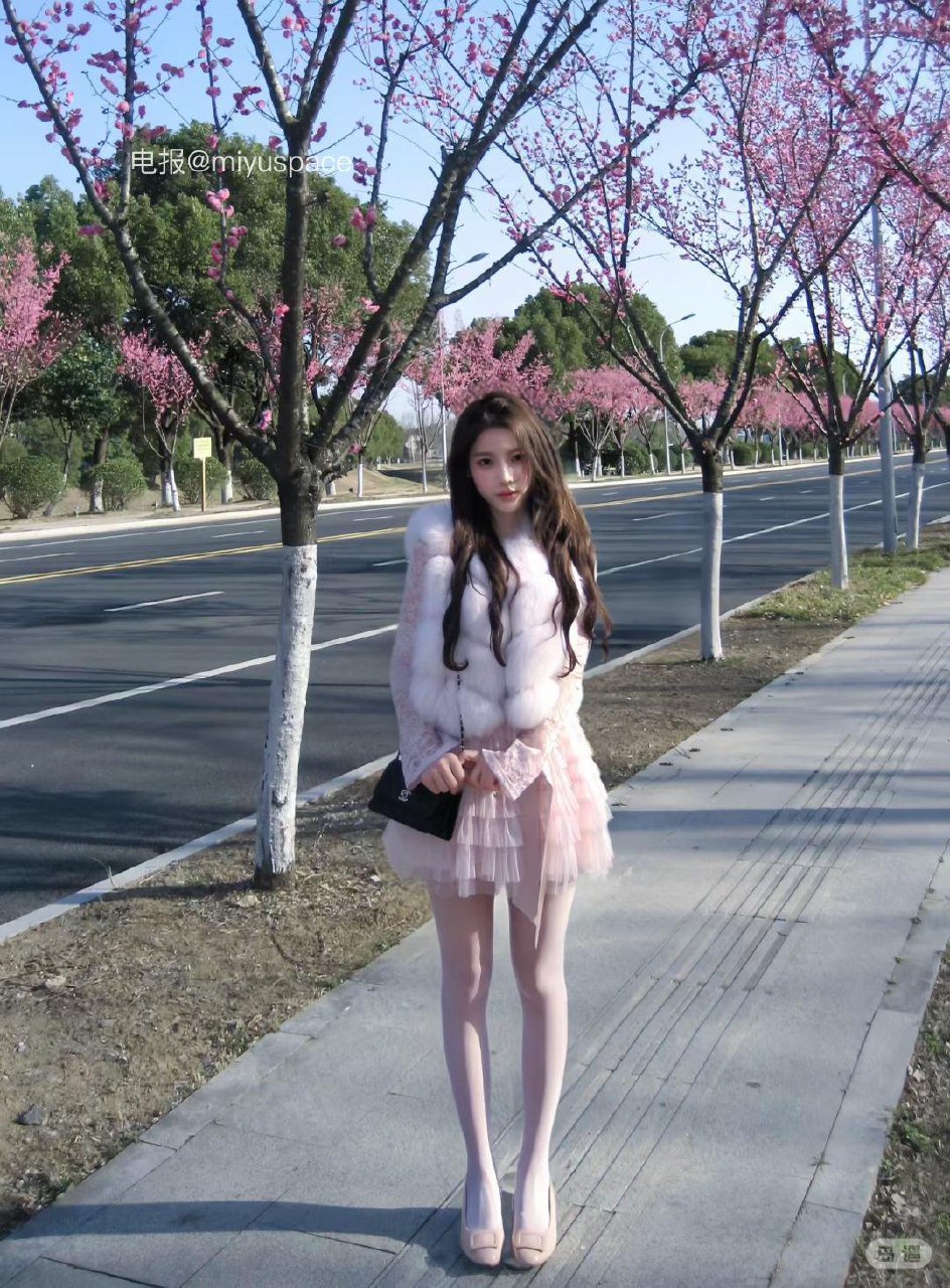 蛋蛋卷 2026-02-27 17:35:02 🌸照片 第4张