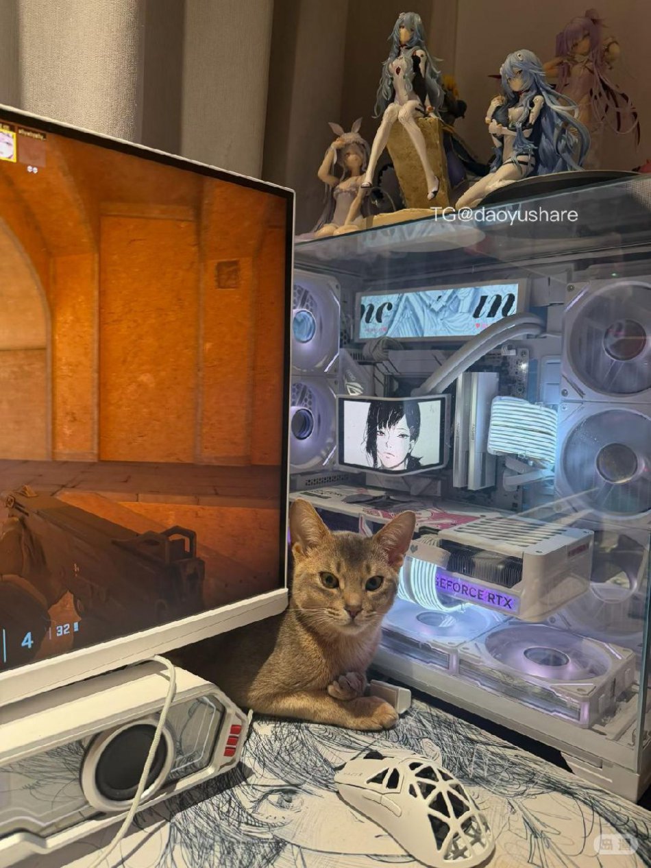 一只香 2026-03-16 10:55:27 下雨天最爱宅家里打游戏玩小猫🐈