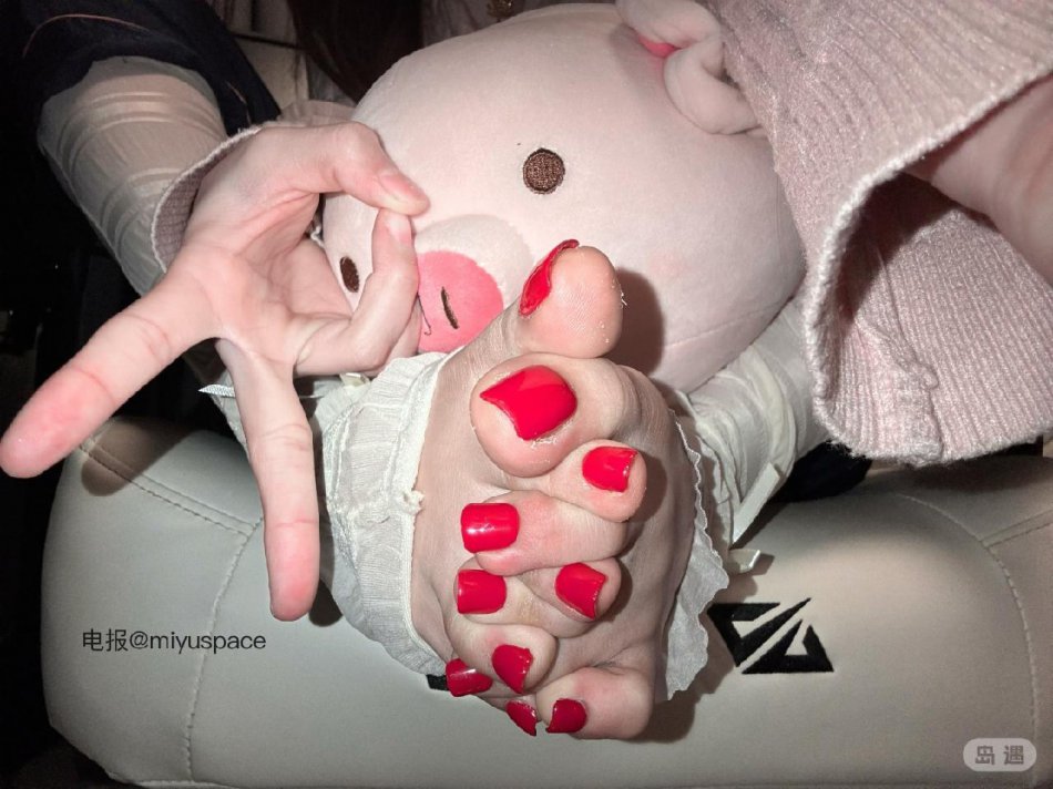 马铃薯 2026-03-27 16:28:38 看看你 第6张