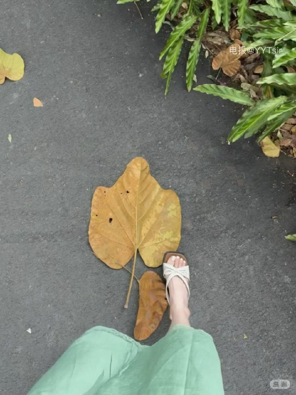 羊小羊 2026-04-05 14:17:11 照片 第7张