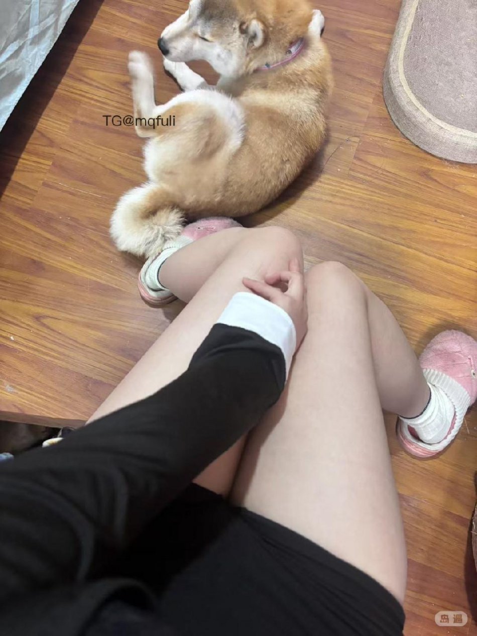 rice粥 2026-04-07 15:40:23 OK，在等你啦