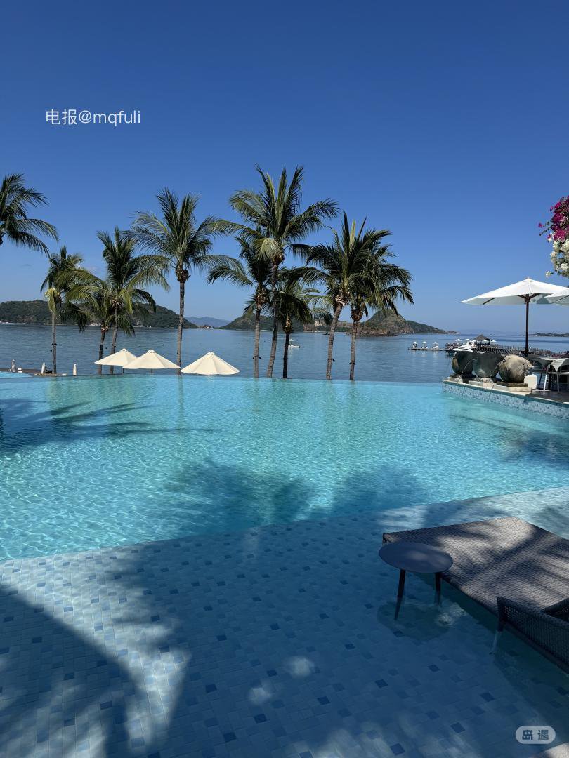 楠o333 2026-04-29 18:06:02 泳池time