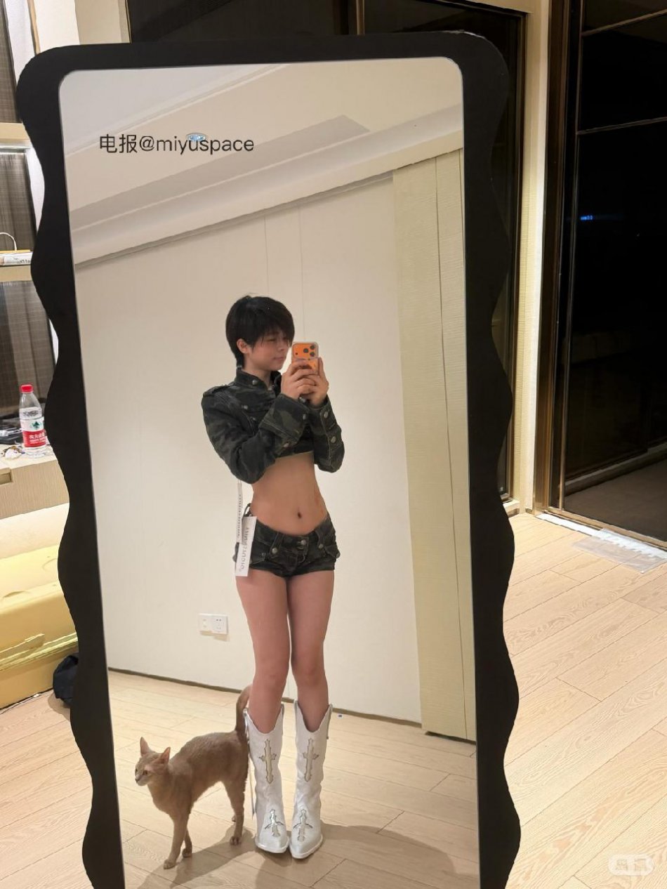 短发那只猫 2026-05-02 01:19:20 今日份迷彩小猫 第2张