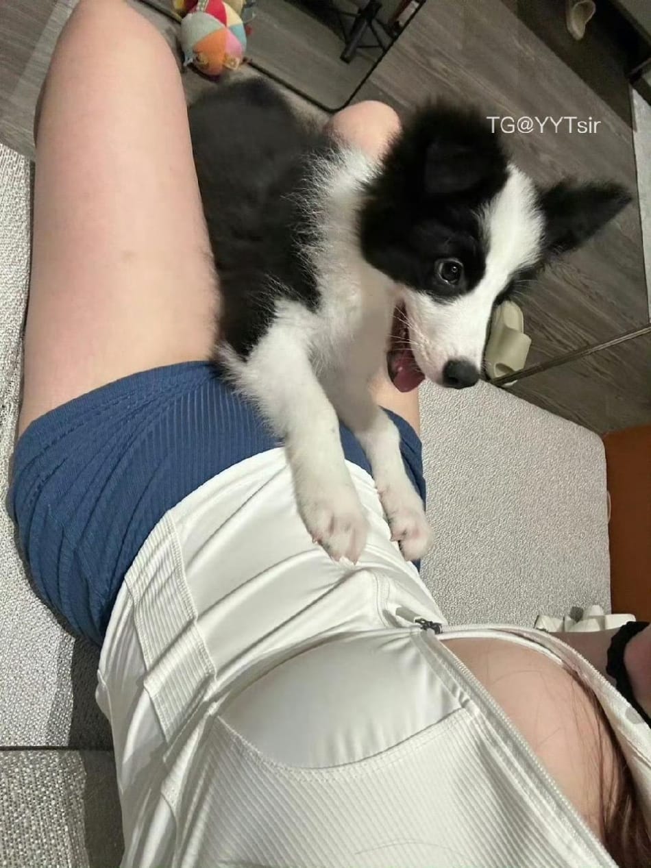 崽崽 2025-05-24 14:02:35 一组腰图 崽崽nana 第3张