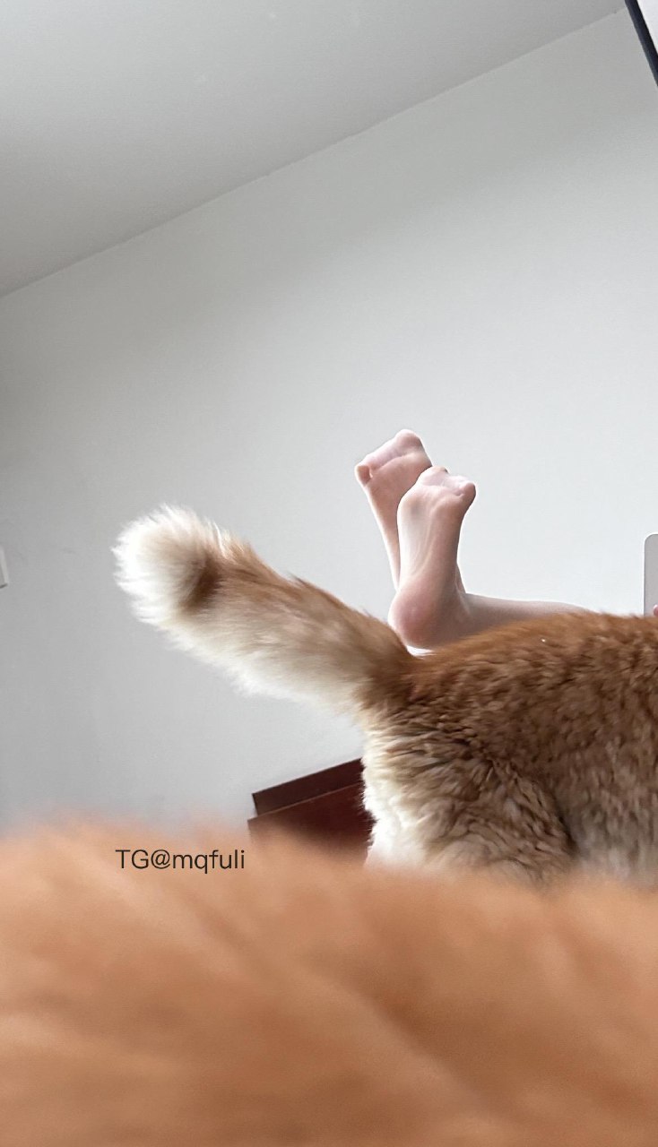 想想会魔法 2025-06-03 11:10:11 持续更新中.... 第7张