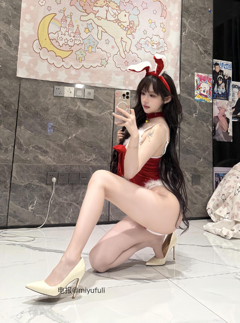 超蓝布罗莉 2025-06-04 03:45:55 圣诞夜,星光 圣诞套装的小兔子 第2张