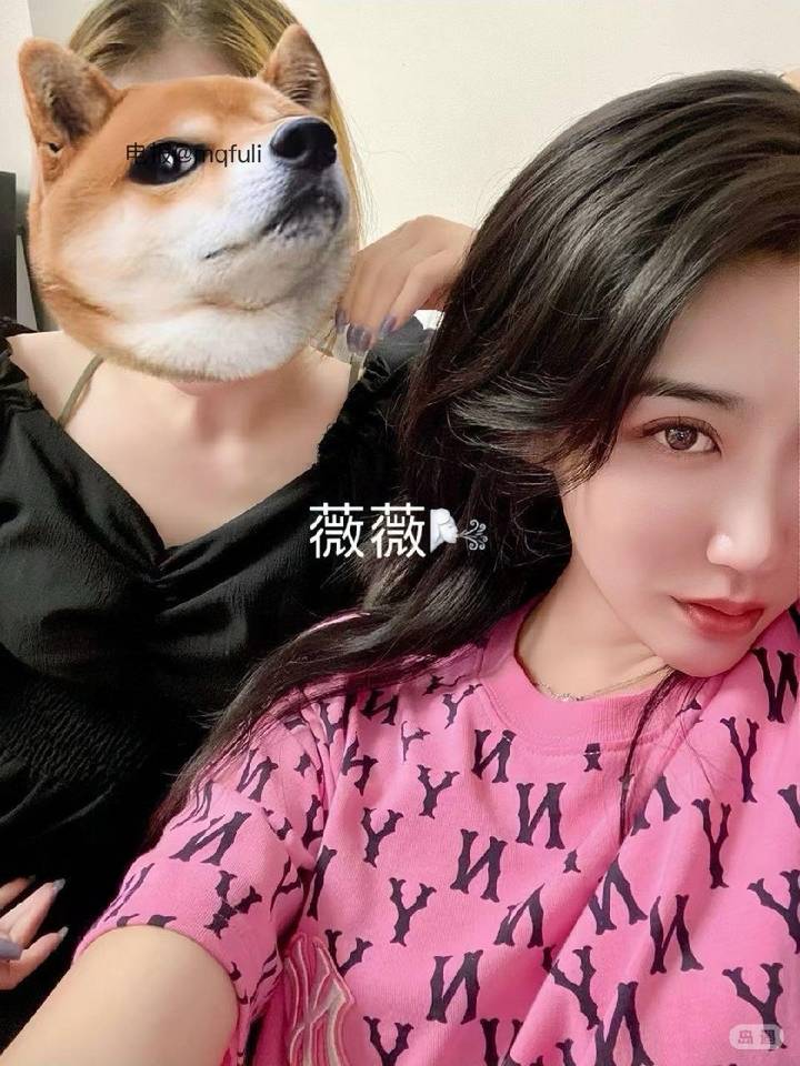 薇薇 | 2026-05-13_3照片 第24张