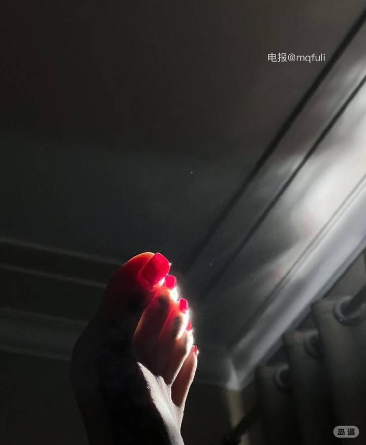 蝶梦与可 | 2026-05-13照片 第1张